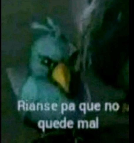 Puchitoxx 🇦🇷 🔞 tweet media