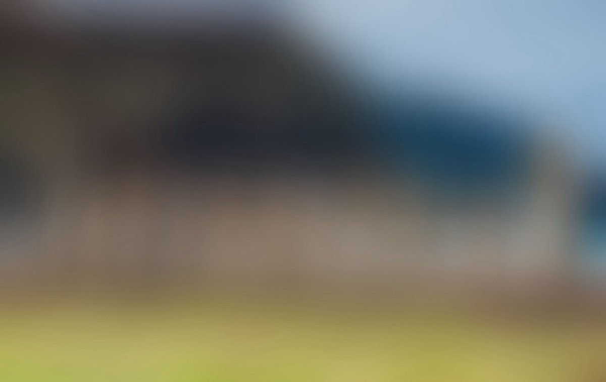 HARAVIVOR - Easter island - SEASON 1 tweet media