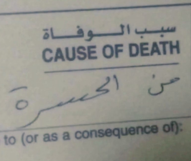 لِينا مُحَمّد tweet media