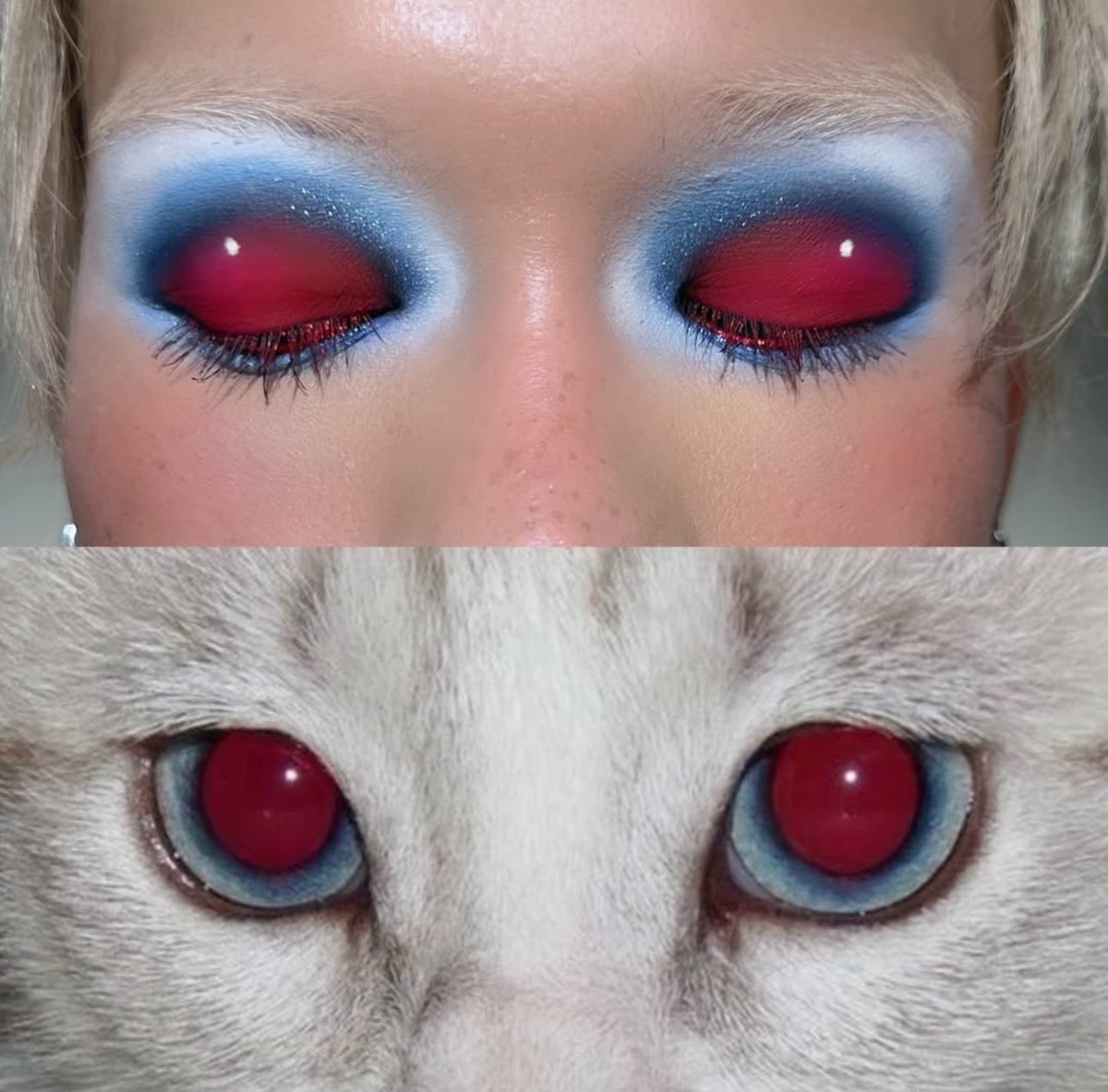 𝐏𝐢𝐧𝐤 𝐠𝐥𝐢𝐭𝐭𝐞𝐫 🎀 tweet media