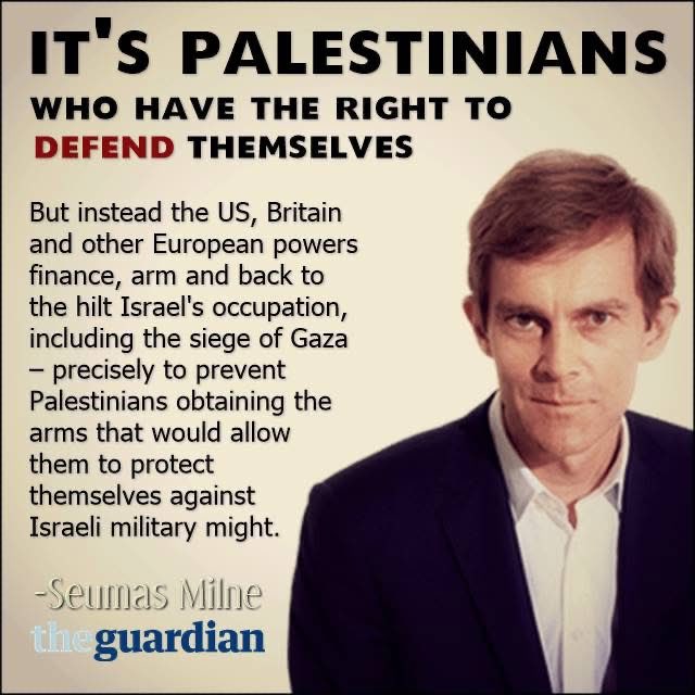 Morningstar 🇵🇸 🔻 tweet media