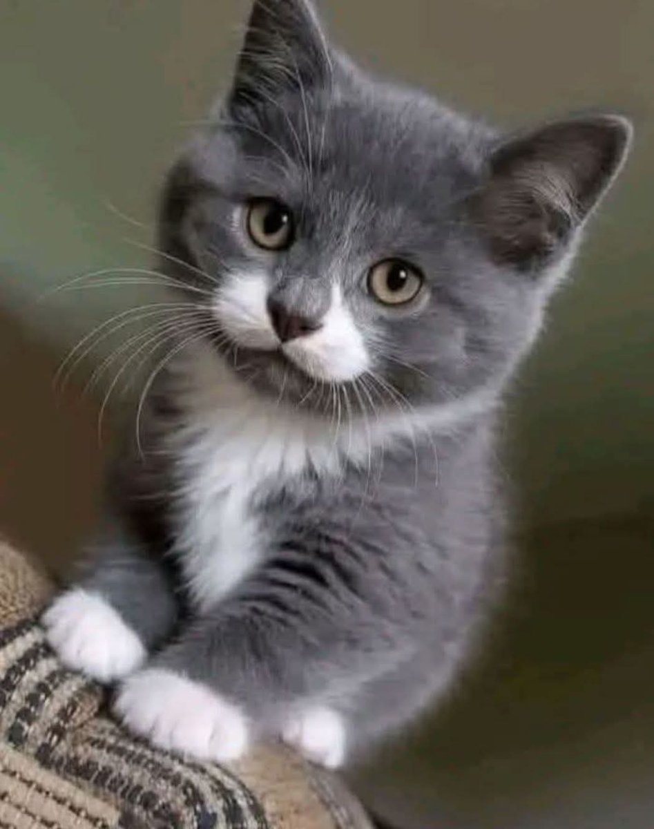 Kristina Bolten tweet media