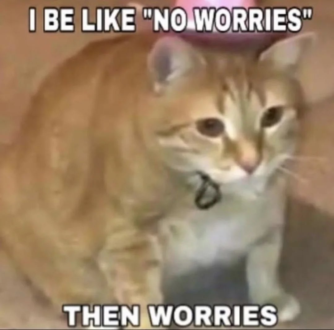 LiterallyMeCats tweet media