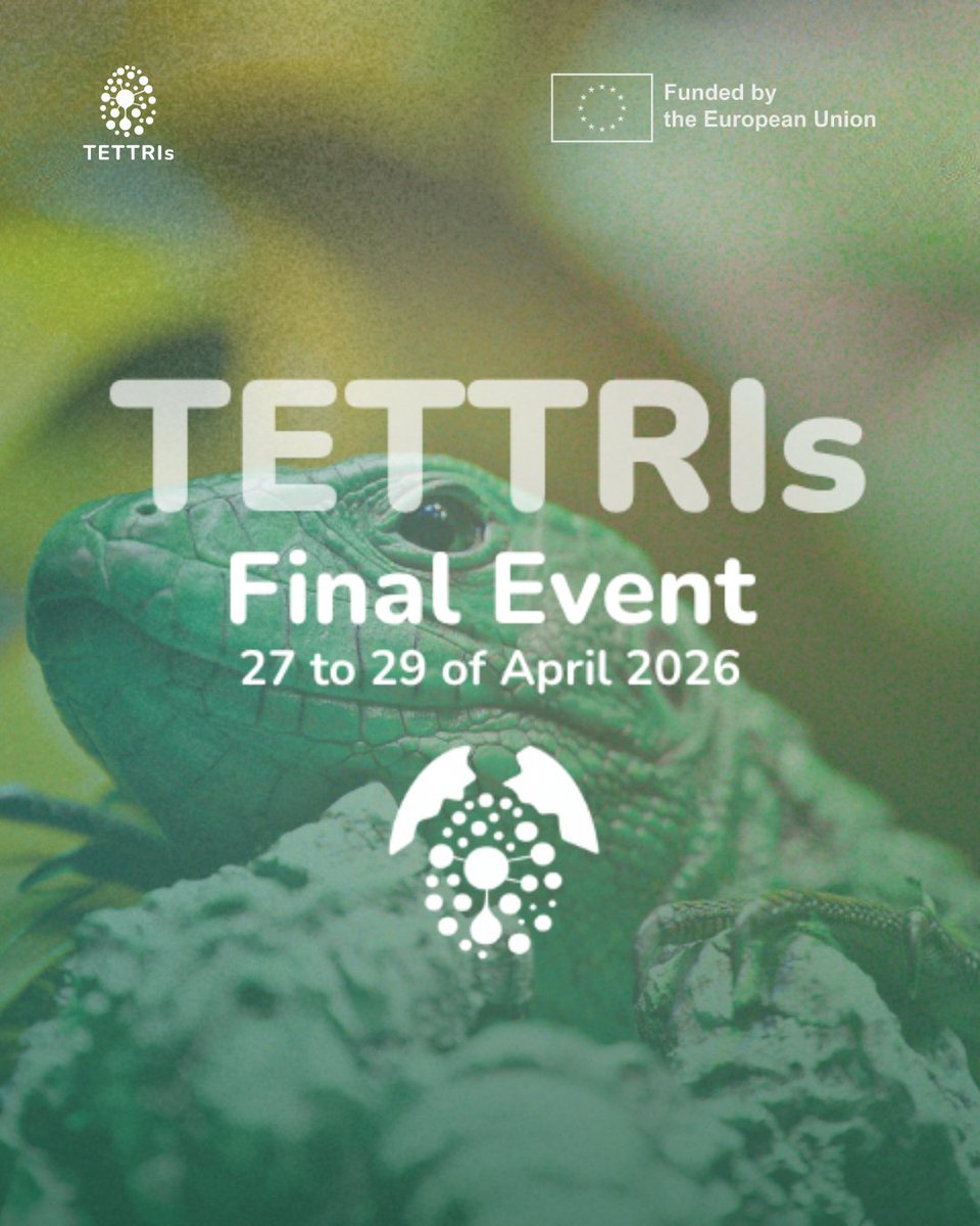 TETTRIsEU's tweet image. 🚀 Tomorrow the TETTRIs Final Event kicks off in Brussels 🇪🇺

Organised by CETAF &amp;amp; @nat_sciences_be , bringing together experts, researchers &amp;amp; policymakers to share insights and shape the future of #taxonomy in #Europe (Apr 27–29).