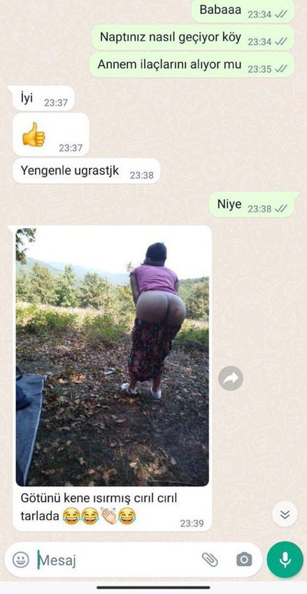 kemal musilaj tweet media