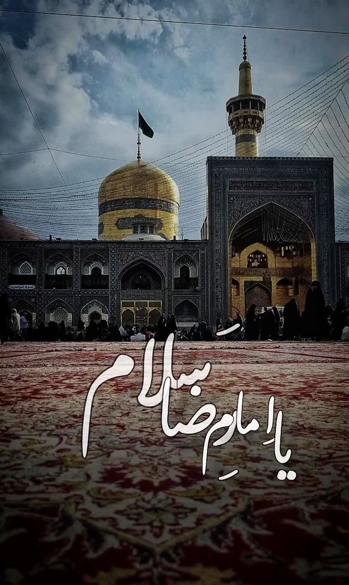 محمدرضا عرب tweet media