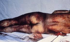 OUTSIDERS.ESP tweet media