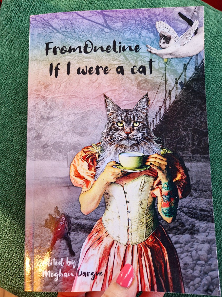 Catherine Beavis tweet media