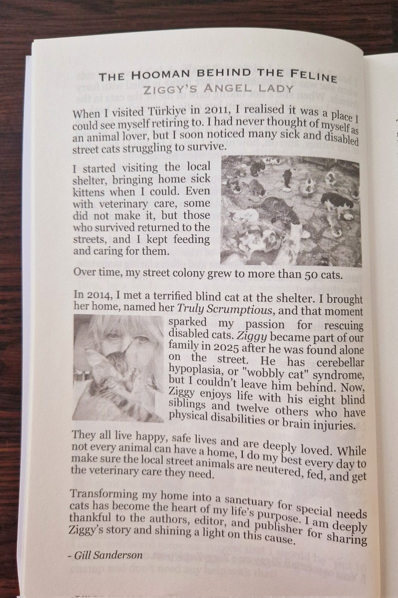 Catherine Beavis tweet media