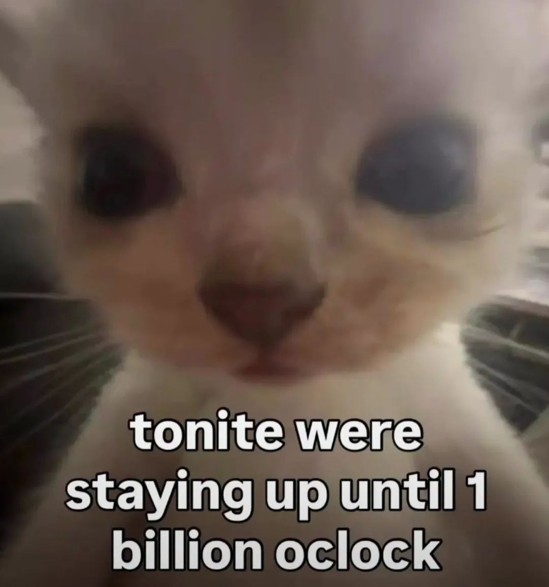 folleauxchats tweet media