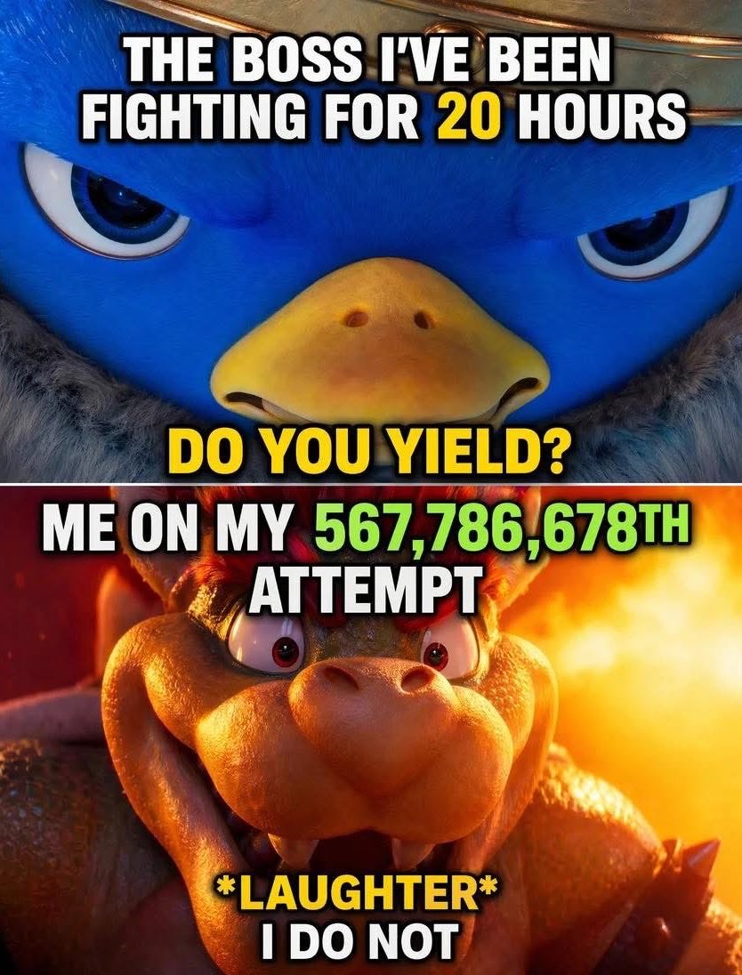 Rino🚀 tweet media