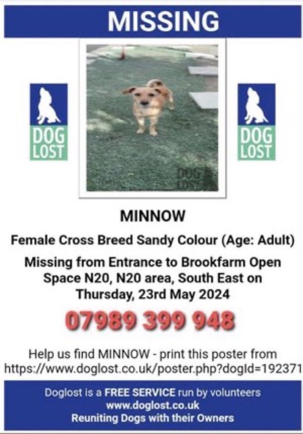 LisaClareRead2's tweet photo. Have you seen Minnow?
She went missing over a year ago now on 23rd May 2024 from the entrance to Brookfarm Open space, N20 area, #London
Please help if you have seen her, let’s help get her home 🏠
Thank you 💕🐾
⬇️⬇️
https://t.co/s58Hc2UQ72
#SouthEast #UK #Stolendoghour https://t.co/bQQd1DgAnY