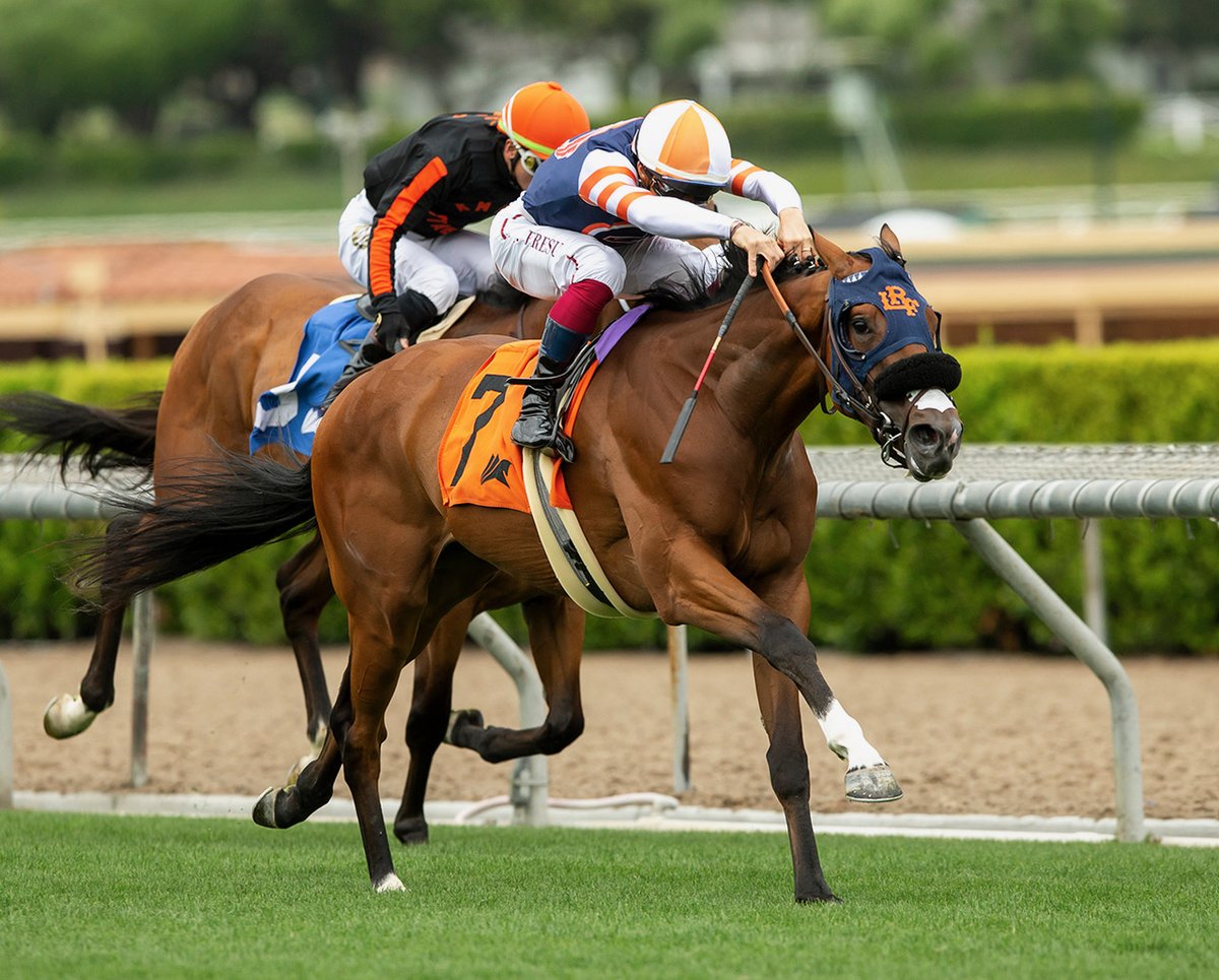Little Red Feather Racing tweet media