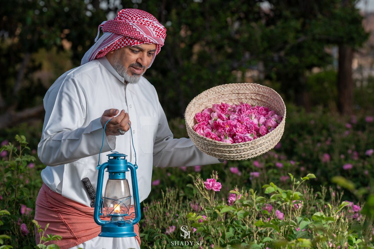 شادي حسين 📷 .. tweet media