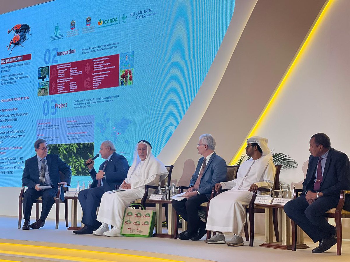 ICARDA's tweet image. #Throwback 🌴🪲
A year ago,  with @kiaaiae, ICARDA, UAE, and @gatesfoundation  launched C4RPWC, a global effort to tackle the Red Palm Weevil.

This week, ICARDA is back in Abu Dhabi to share how that work is turning into real solutions for farmers and palm systems.
Stay tuned!