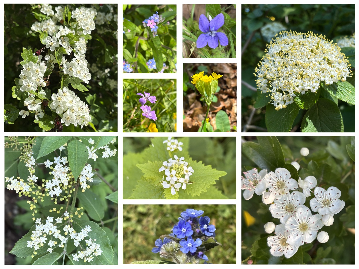 Lyn Edmonds tweet media