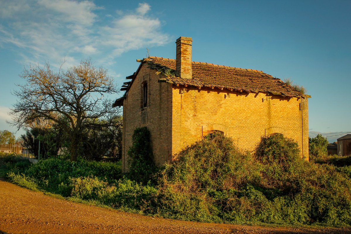 maría 🌾 tweet media