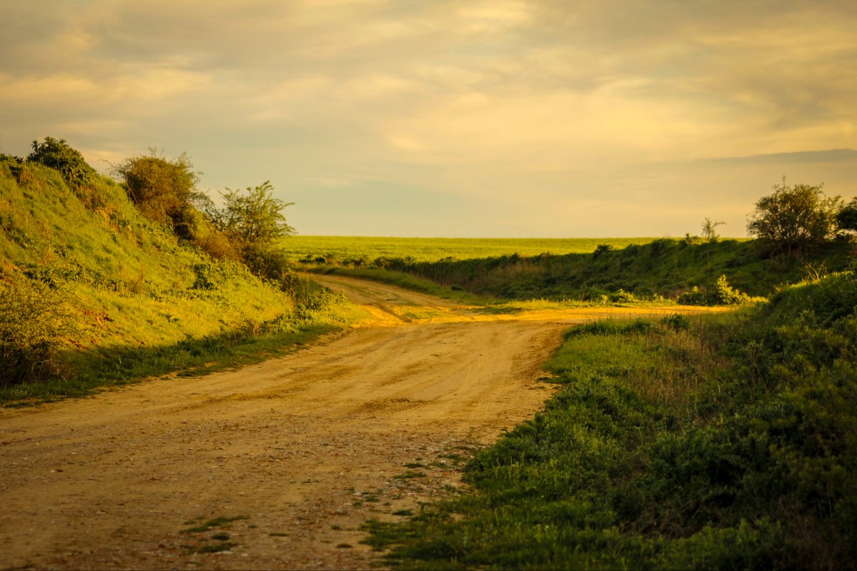 maría 🌾 tweet media
