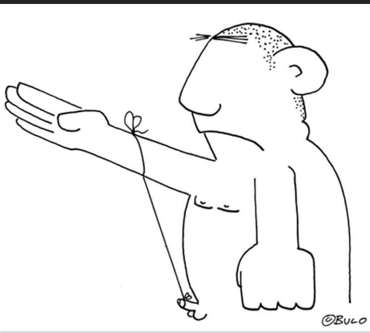 fuchs1724🇩🇪🇪🇺🇺🇦 tweet media