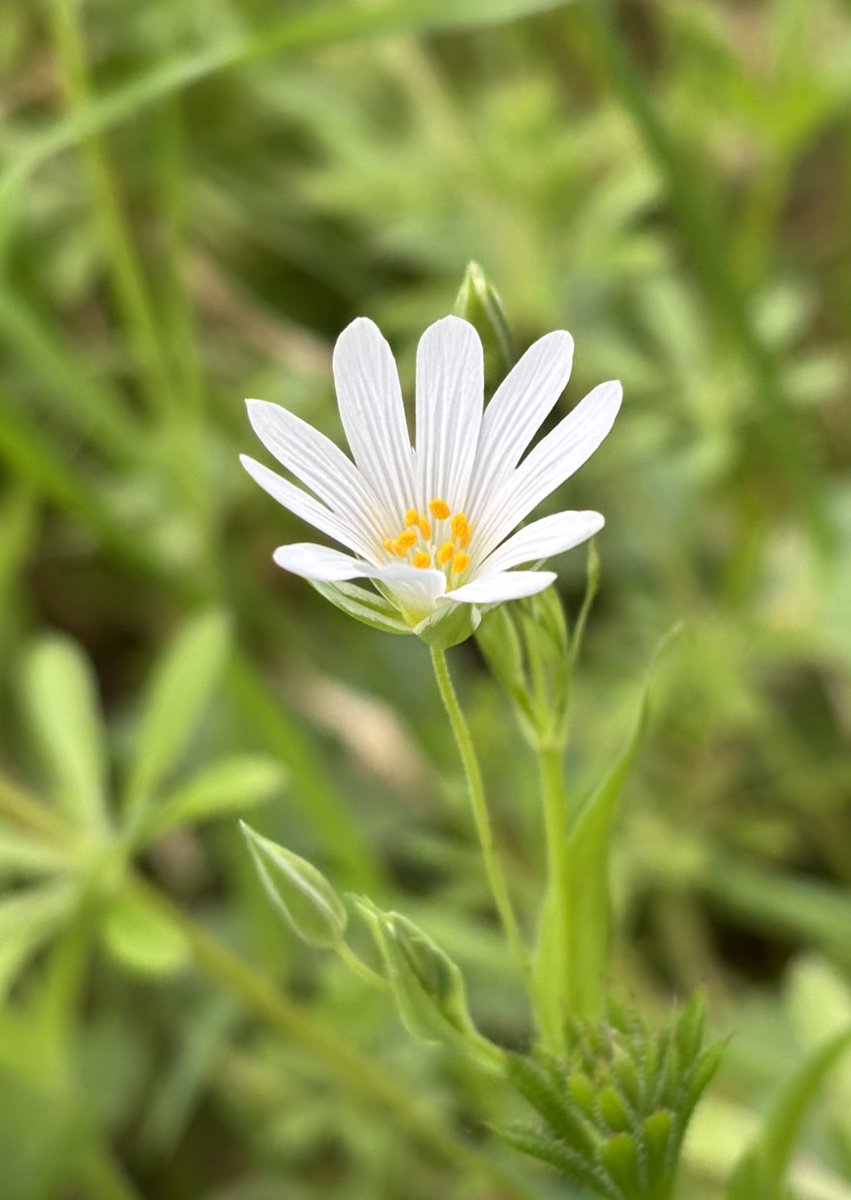 Lyn Edmonds tweet media