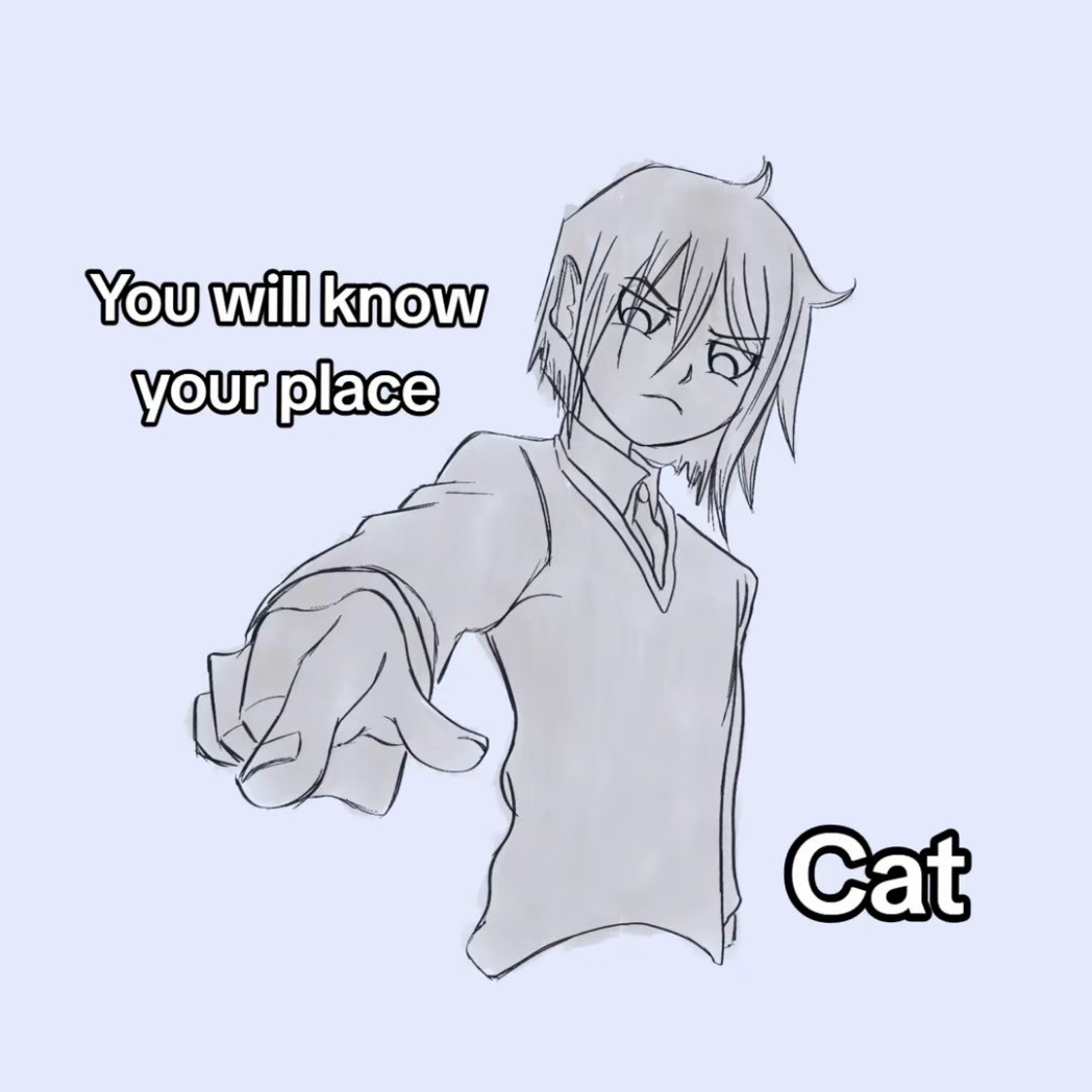 Polaroid tweet media