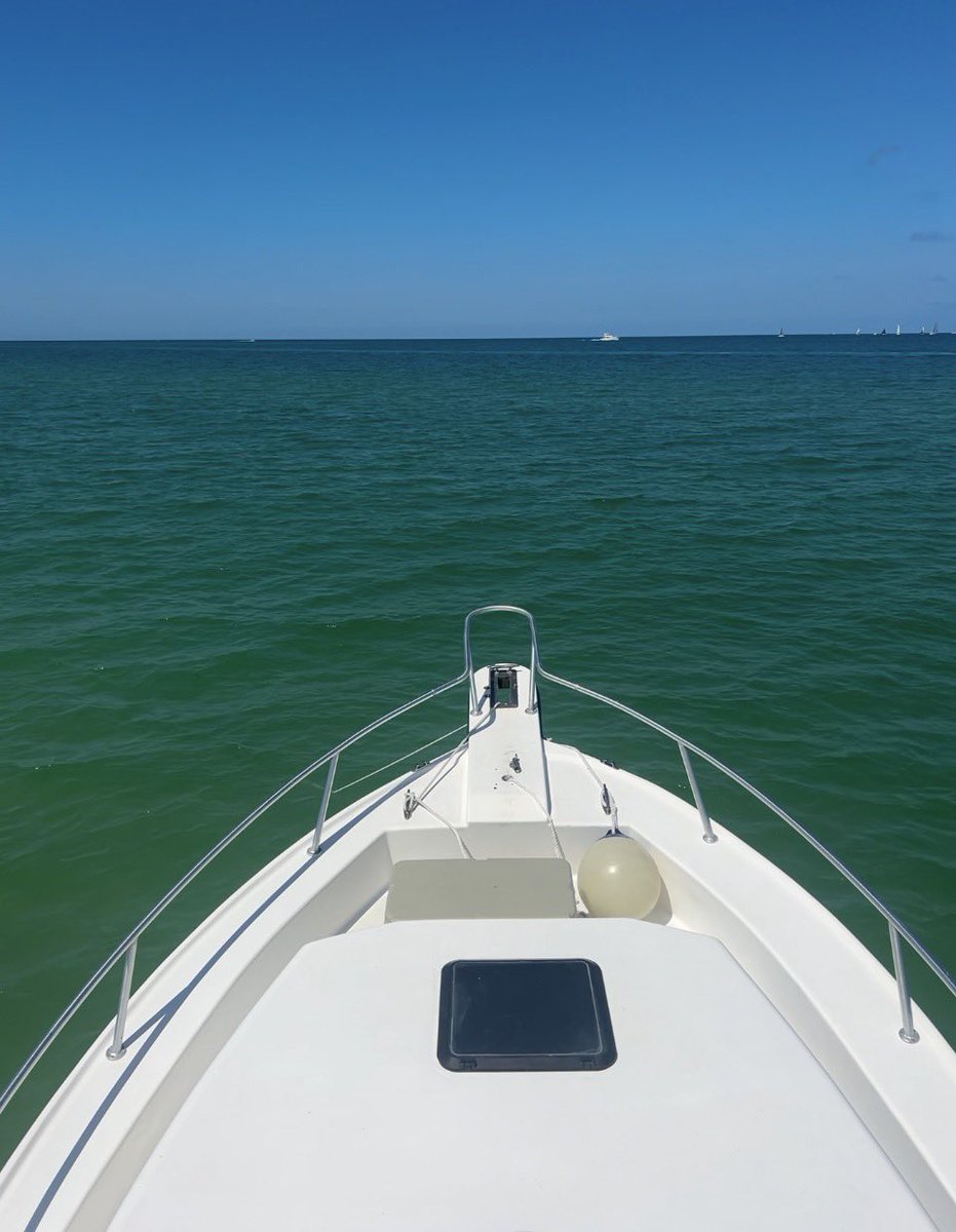 Elite Swing Traders tweet media