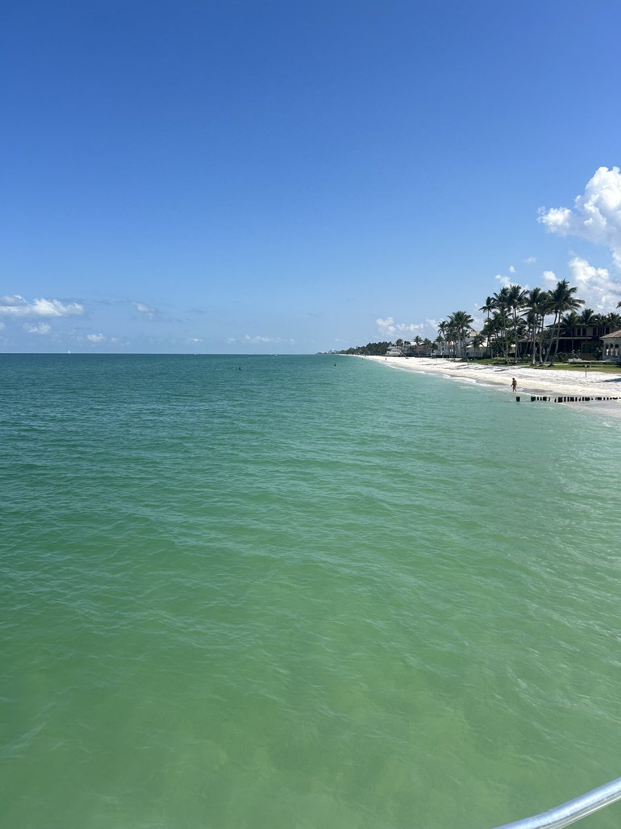 Elite Swing Traders tweet media