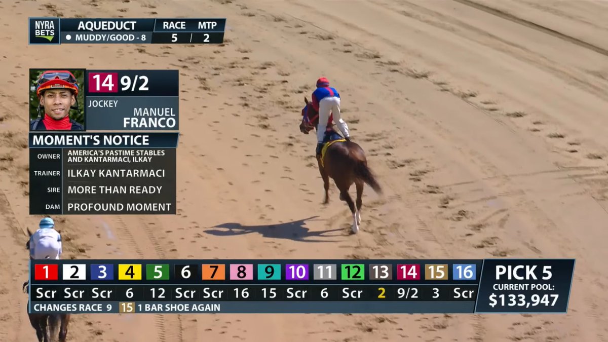 America’s Pastime Stables tweet media