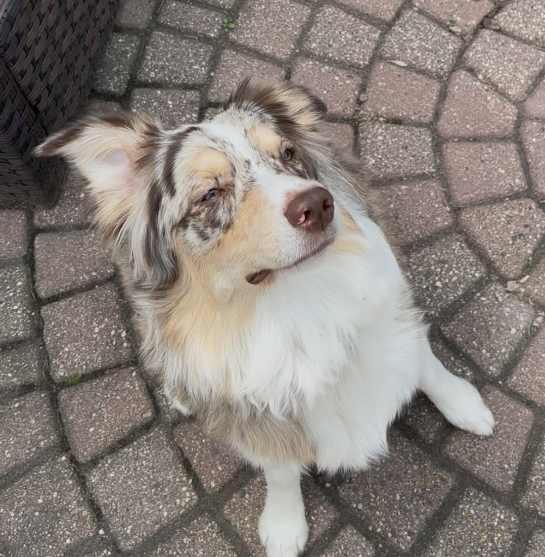 quiet is violent. Kenny / Kats |-/ tweet media