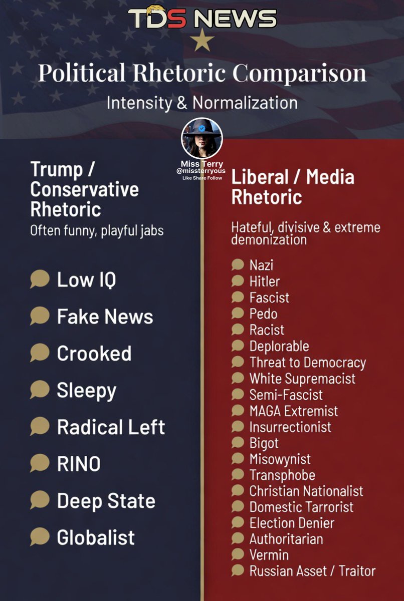 🇺🇲 Grey Cat Tweet 🇺🇲 tweet media