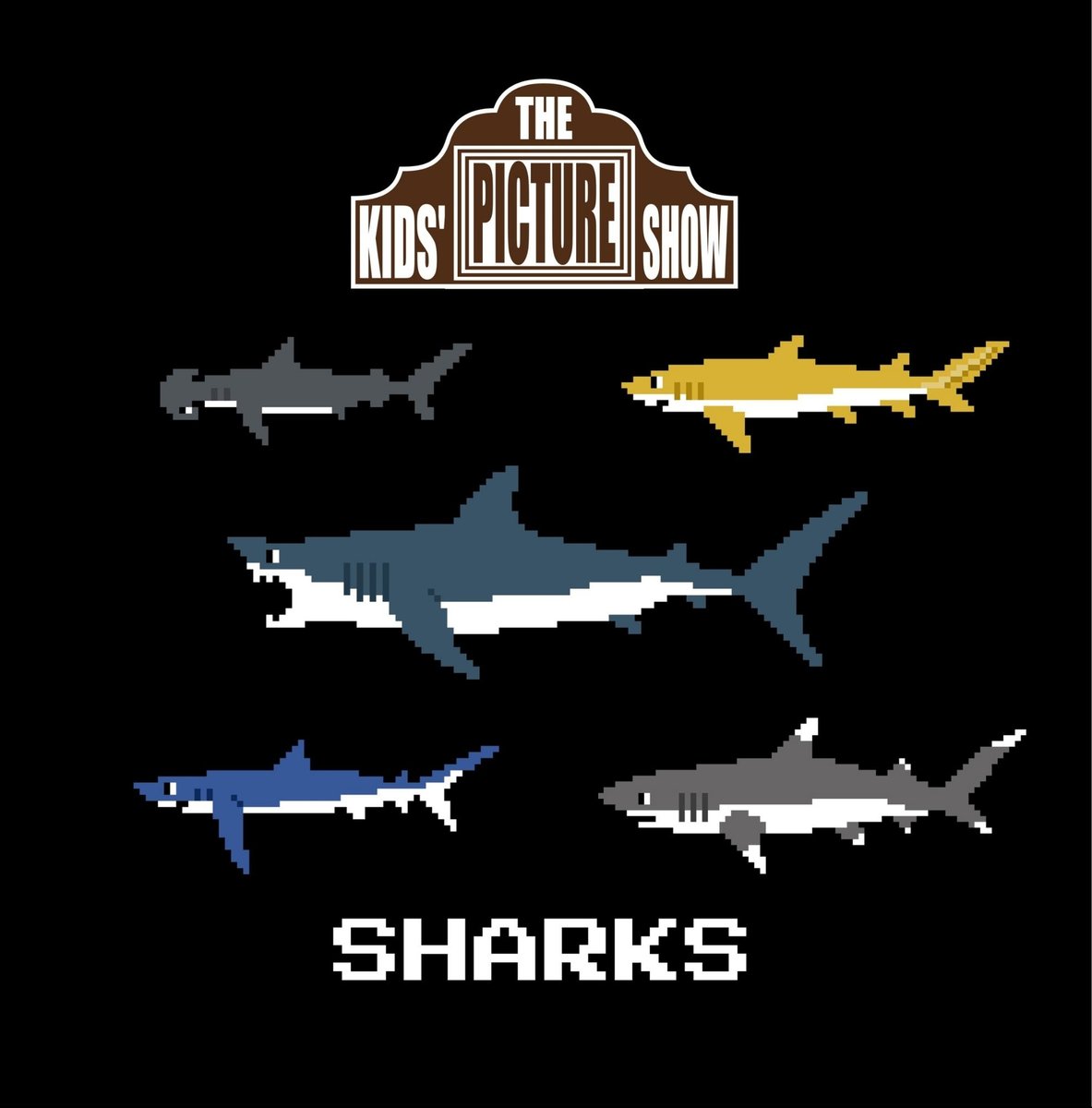 Sharks book now available on Amazon in paperback and eBook format! #sharks #kidsbooks #sealife