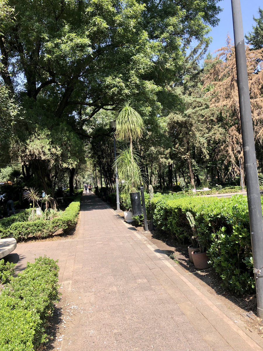 denisitahermosa's tweet image. 13:13 vívelo y gózalo siempre!!!!
Lov yu harto DF 4ever 🤪🥰🥳
#polanco #parquelincoln
#roko #yop