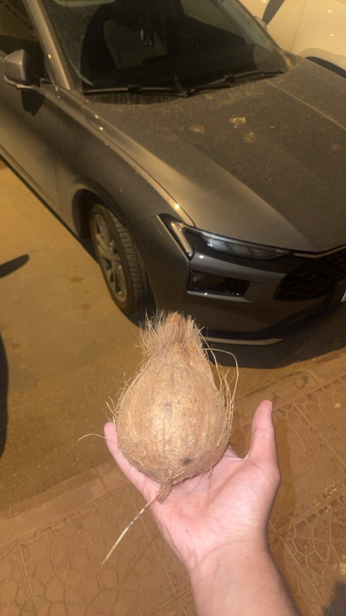 محمد tweet media