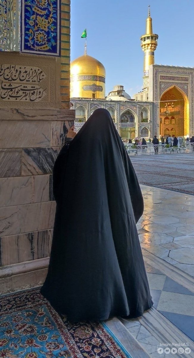 خانم محمدی tweet media