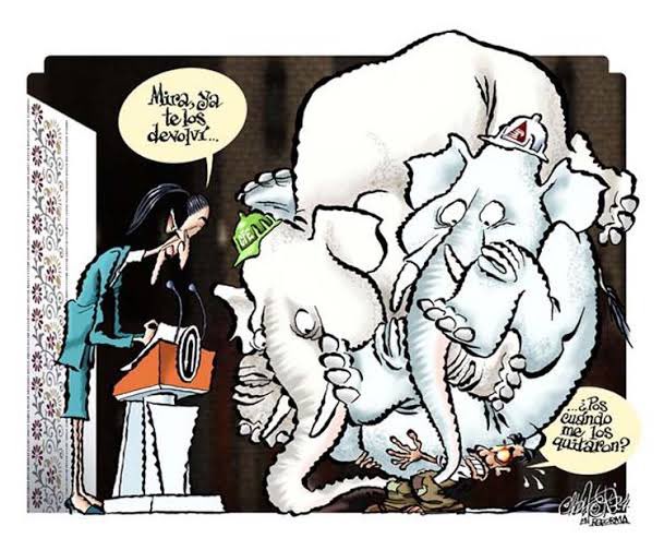 Max Kaiser tweet media