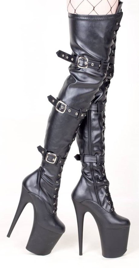 FemDomFanatic tweet media