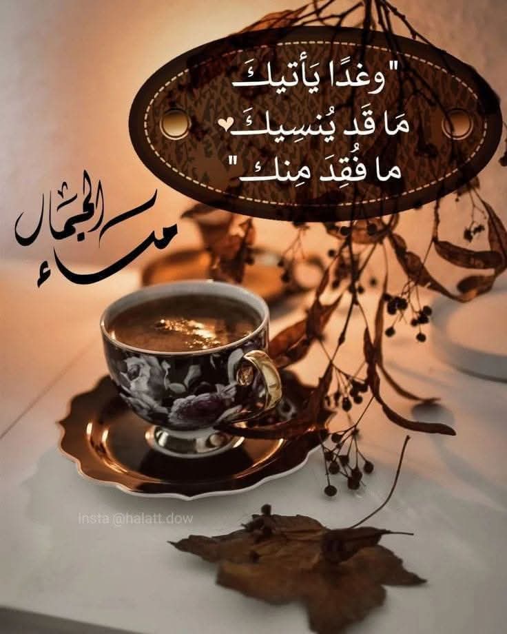 محمد الخطيب tweet media