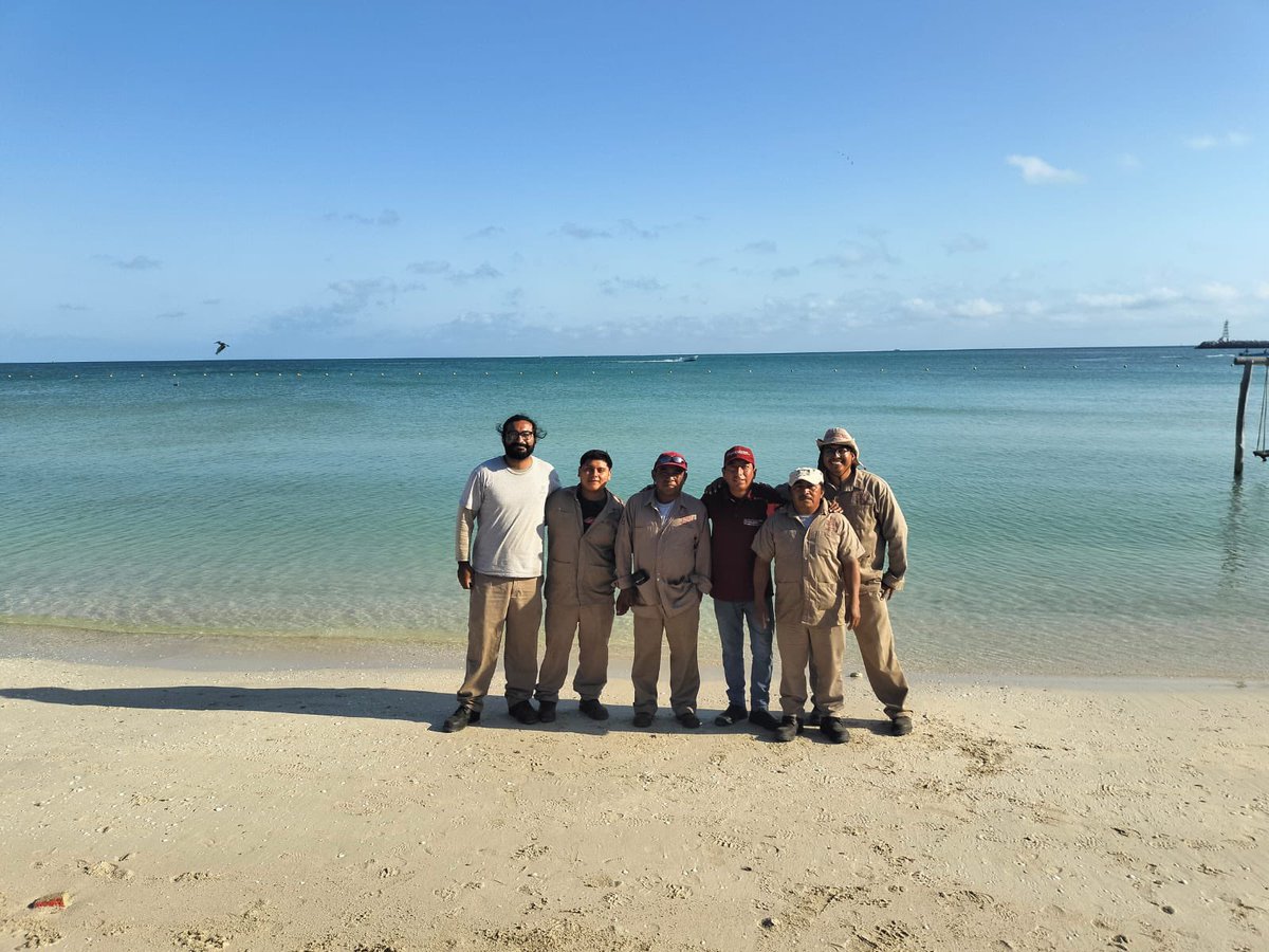 FTorresRivas's tweet photo. Nuestros compañeros de la Gerencia de Conservación e Imagen de la #JAPAY participaron  en la Jornada de Limpieza de Playas en el puerto de #Chelem. Esta actividad, organizada por #CONAGUA, nos recuerda la importancia de mantener limpio nuestro medio ambiente y… https://t.co/Z9ddfHTJ10