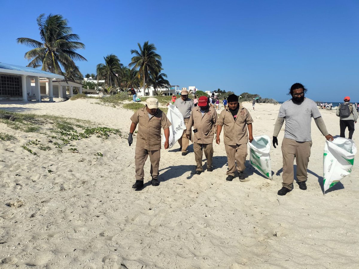 FTorresRivas's tweet photo. Nuestros compañeros de la Gerencia de Conservación e Imagen de la #JAPAY participaron  en la Jornada de Limpieza de Playas en el puerto de #Chelem. Esta actividad, organizada por #CONAGUA, nos recuerda la importancia de mantener limpio nuestro medio ambiente y… https://t.co/Z9ddfHTJ10