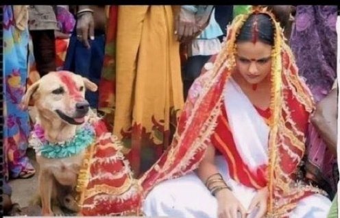 Khalid Khan tweet media