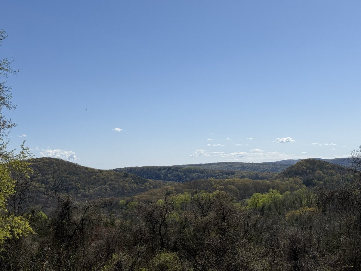 iparalax's tweet image. Wolf 🐺 Pit Mountain up ahead. A super day for a cycling 🚴 ☘️😉

#SummerBikeRides #NewEngland