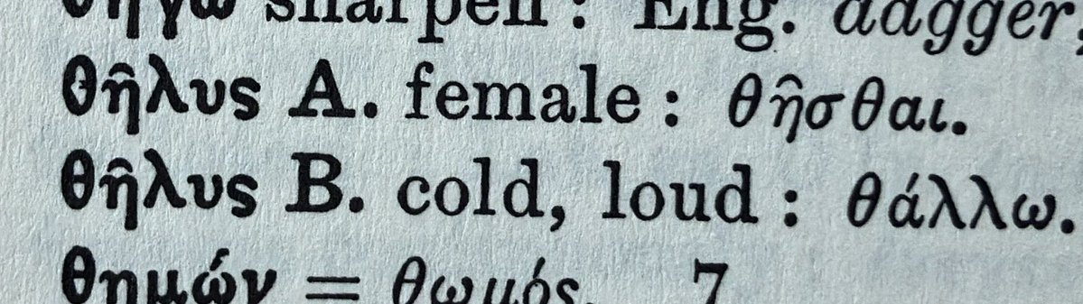 Spergler Acolyte tweet media