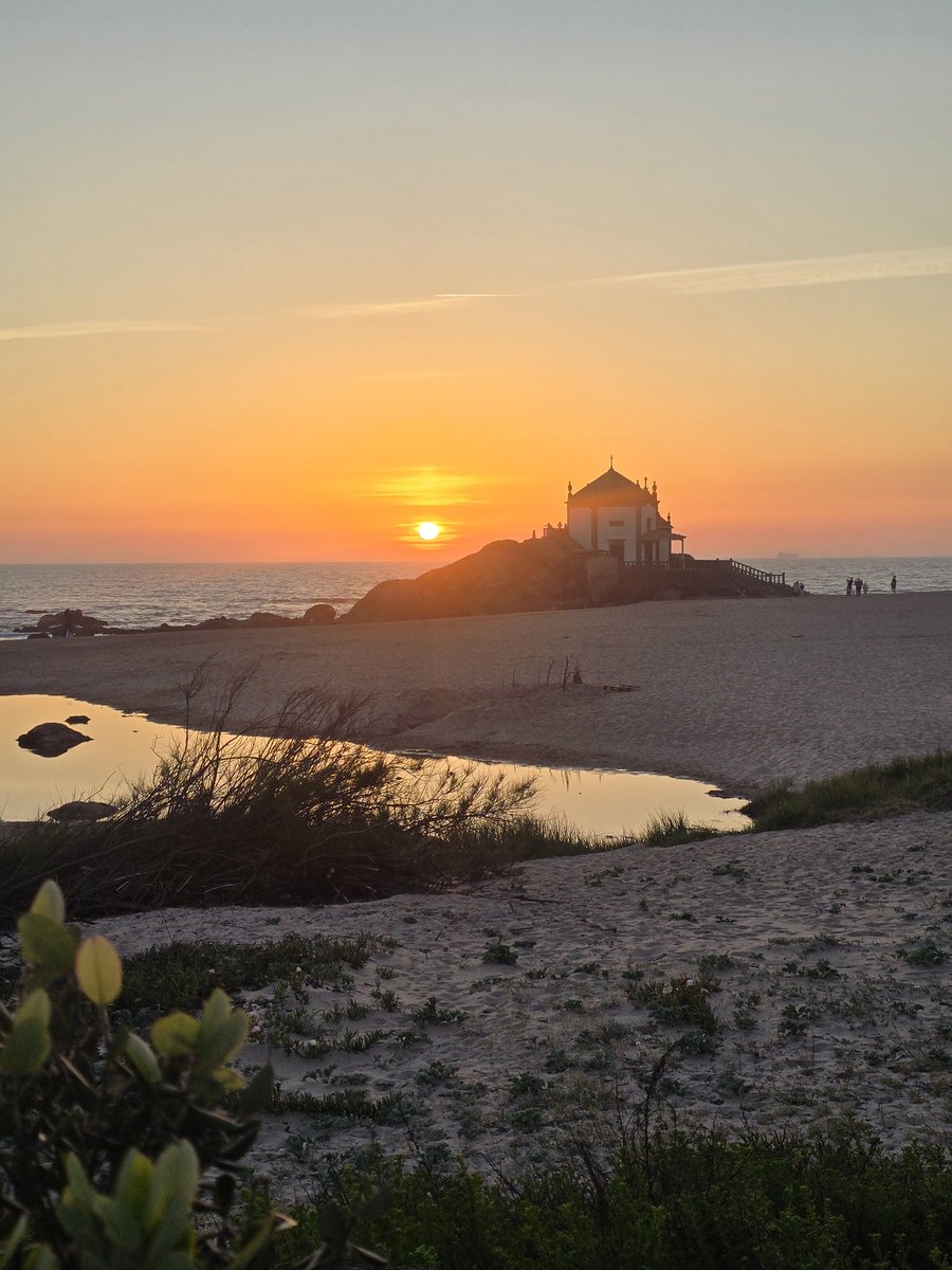 ElisabeteSJesus's tweet image. 🥰 #photooftheday #nofilter