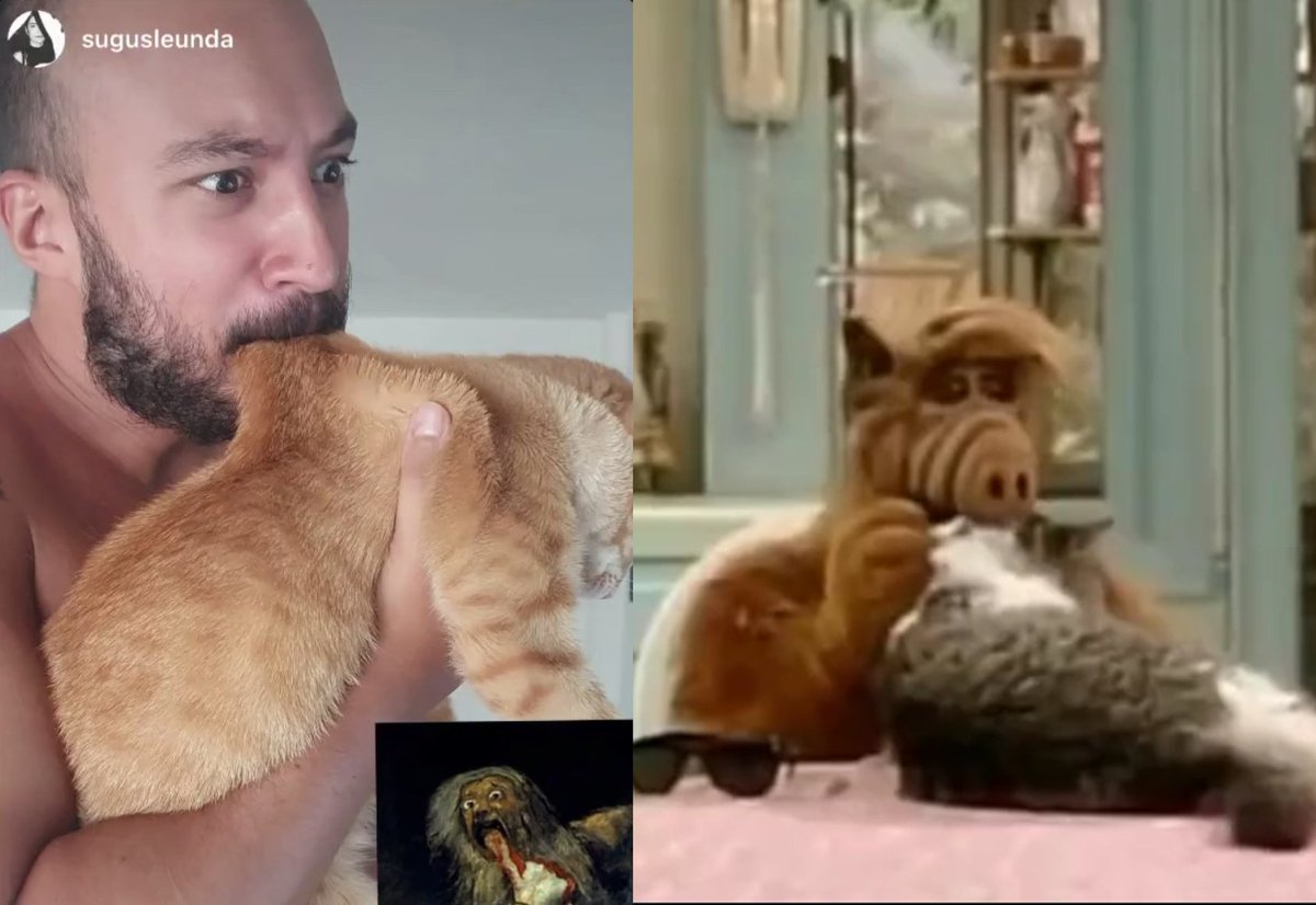 Moreno Alf tweet media