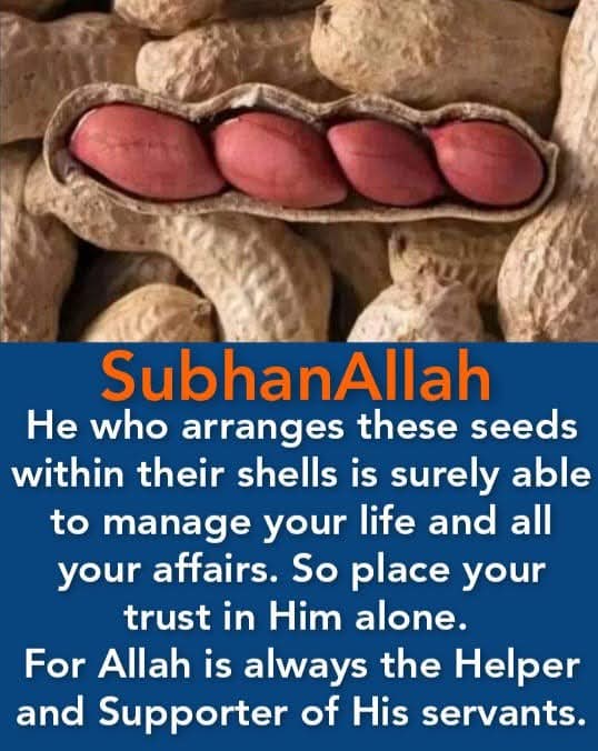 SubhanAllah ❤️