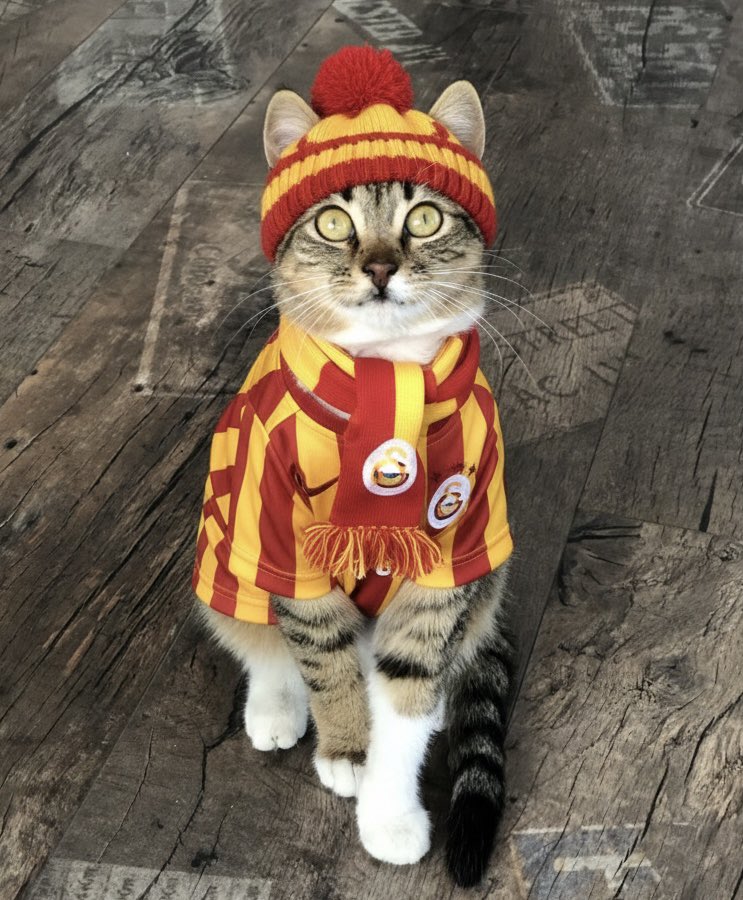 mustafaa_gencc's tweet photo. 💛❤️ #GALATASARAY #GSvFB https://t.co/znbLdsnnqx