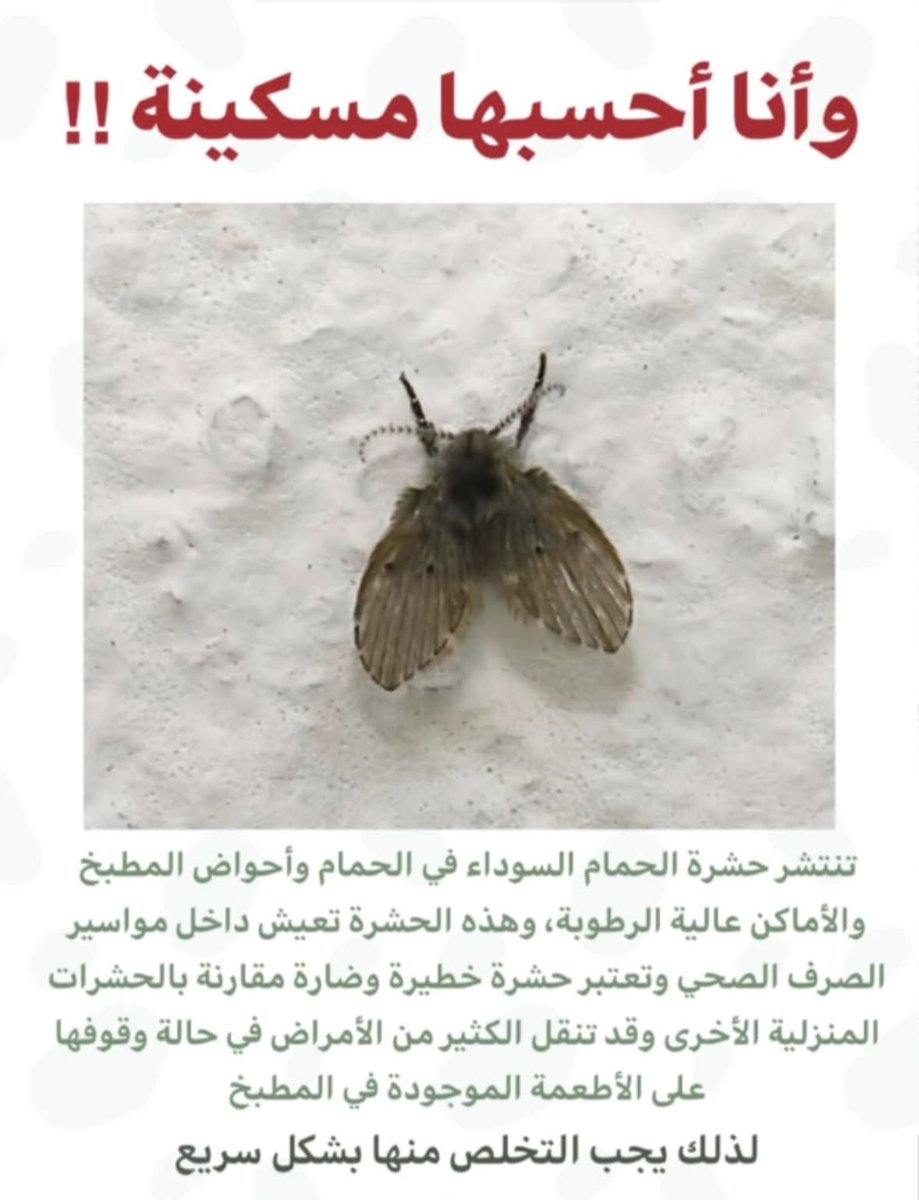 فهلوي (@fhlwey) on Twitter photo 