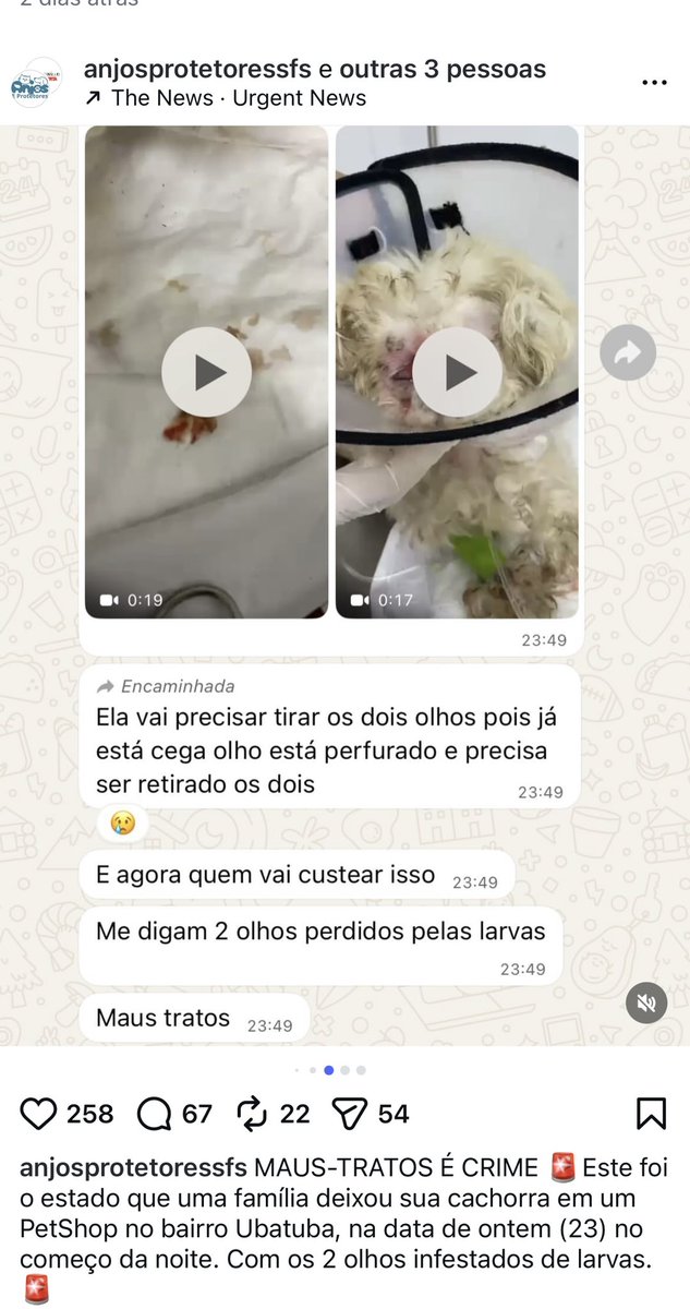 EU AMO OS ANIMAIS ♥️🐕 tweet media