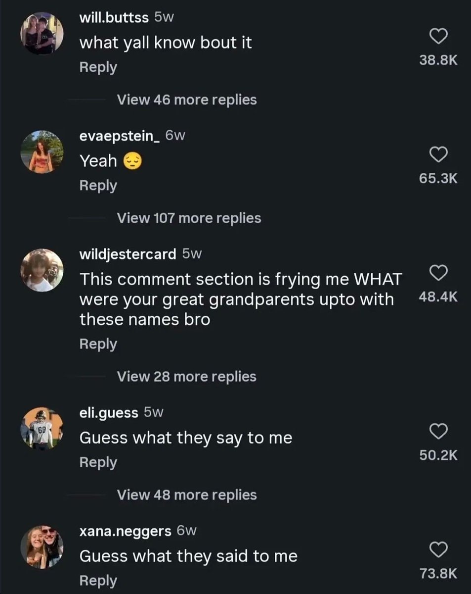 Braindead Bird App tweet media