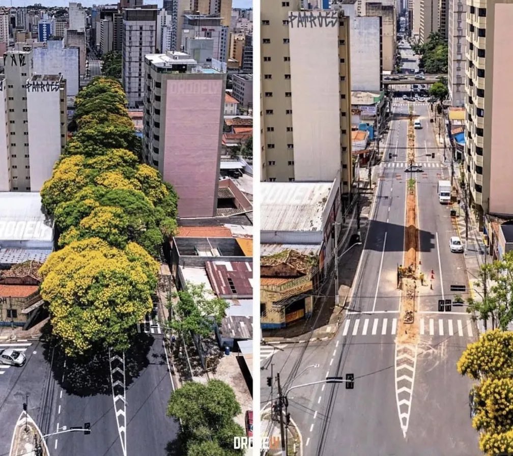 PAPASITO tweet media